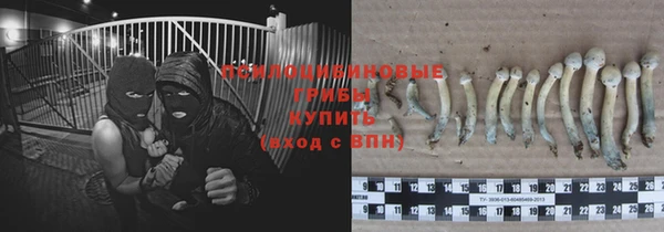 МДМА Новозыбков
