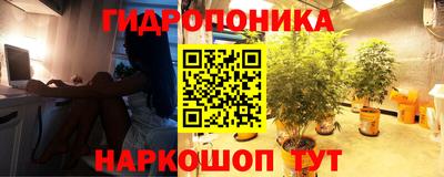 apvp Канаш