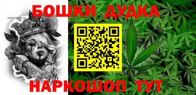 apvp Канаш