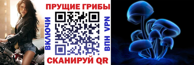 Галлюциногенные грибы мицелий Клинцы