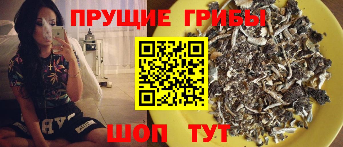 Галлюциногенные грибы Psilocybine cubensis  Вход с VPN  Клинцы  Псилоцибиновые грибы Magic Shrooms 